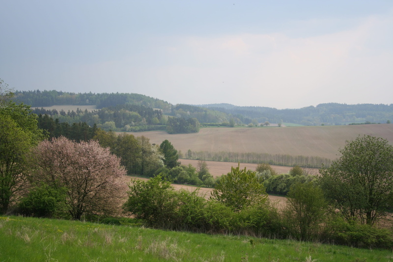spring landscape, beauty in nature, Czech Republic, signs of spring, scenics - nature, Landscape, green color, no people, Spring, path, tree, forests, land