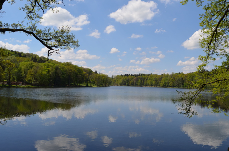 scenics - nature, prague, tree, no people, tranquil scene, reflection, outdoors, idyllic, lake, beauty in nature, sky, landscape, reflection lake, blue