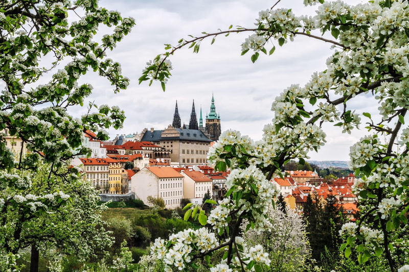 building exterior, branches, spirituality, Prague, building, architecture, religion, green color, built structure, growth, 1080P, outdoors, spring, white