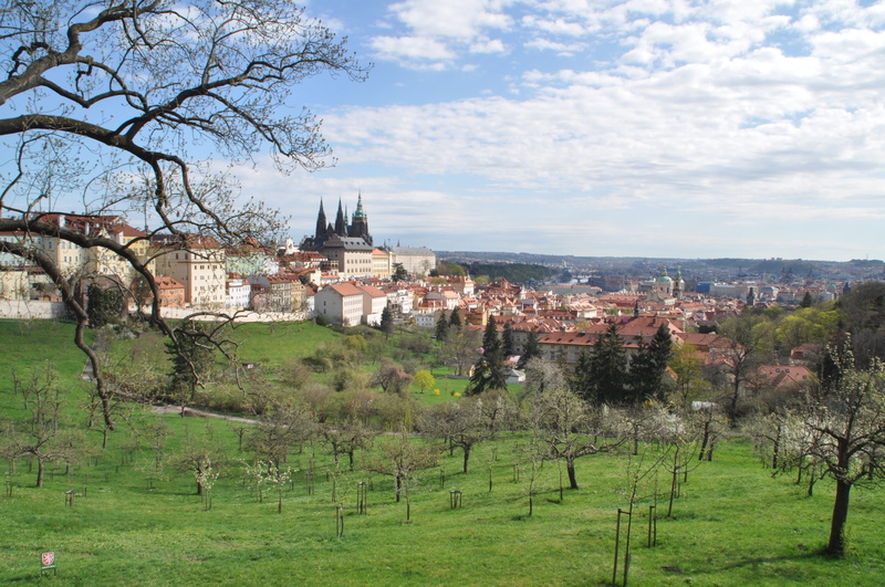day, castle, spring, tree, czech republic, historical city, building exterior, historic center, house, sky, architecture, capital, building, field, residential district