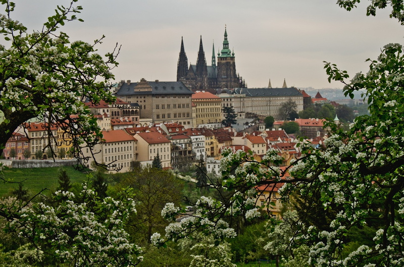View, sky, Czech republic, travel destinations, travel, spire, history, tree, Spring, building exterior, built structure, outdoors, growth, residential district