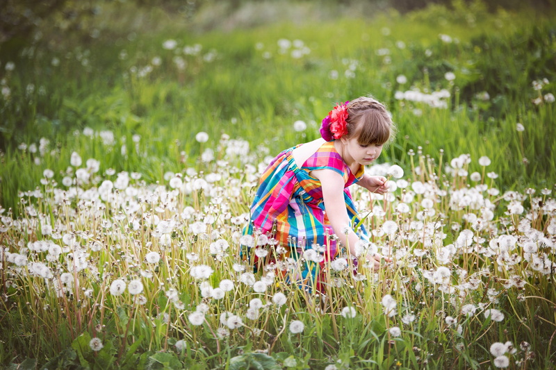 Field, outdoors, land, Dress, Children, plant, childhood, child, uncultivated, Girls, one person, hairstyle, photo, 4K, nature, day, grass, selective focus