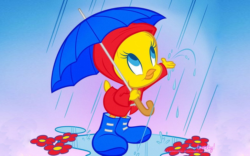 tweety, pictures, umbrella, tunes, hd, 1080P, bird, desktop, looney, rain, spring