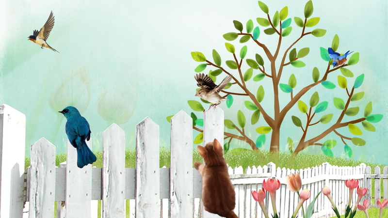 watch, flowers, 1080P, firefox persona, birds, fence, tree, spring, 3d and abstract