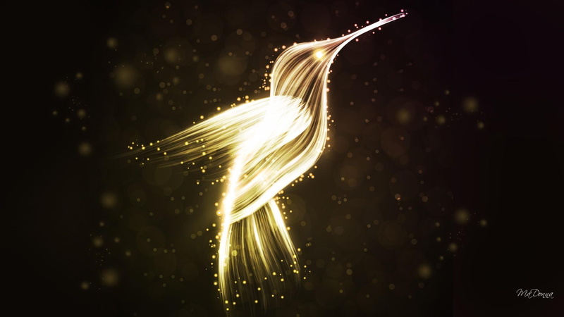 glow, lights, sparkle, abstract, hummingbird, bird, april, 1080P, animals, summer, spring, bright, dark