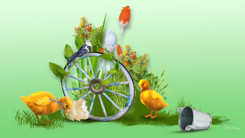 spring, hatched, flowers, 1080P, ducks, wagon wheel, eggs, easter, wheel, bird, grass, summer, ducklings