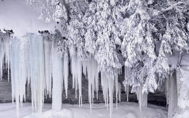 december, forest, tranquility, non-Urban Scene, cold temperature, icicles, day, snow, backgrounds, landscape, frozen, covering, no People, growth, 1080P