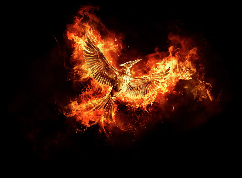 8K, The Hunger Games, 8K, 4K, Mockingjay