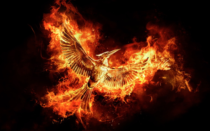 fire - natural phenomenon, close-up, Mockingjay, night, Games, heat - temperature, Part, firewood, warning sign, glowing, wood - material, motion, Hunger
