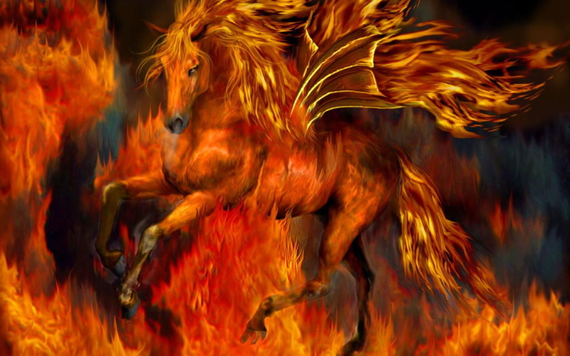horses, Fire, 720P, x, hd, animals, art