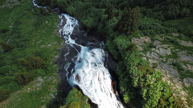 flowing, creek, green, switzerland, no people, growth, flowing water, nature, high angle view, drone view, bush, outdoors, tree, beauty in nature, plant