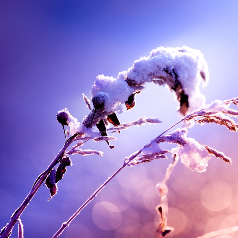 5d mark ii, springtime, close, potsdam, Frozen, dof, ice, EF, sunrise, ze, close up photography, bokeh, 1080P, eis, blue  orange, f4L, USM, havel, winter
