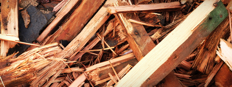 outdoors, wood, large group of objects, plant, stack, abandoned, wood - material, close-up, log, abundance, shavings, timber, damaged, day, brown, no people