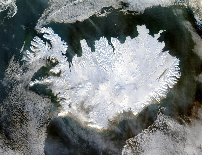 animals in the wild, water, no people, eternal ice, abstract, white color, nature, frozen, beauty in nature, glacier, day, iceland, ice, frost, high angle view