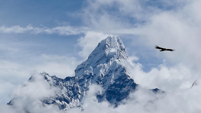 nature, sky, mountain range, cloud - sky, snow, mid-air, mountainous landforms, flying, mountain peak, animals in the wild, animal wildlife, winter, himalaya