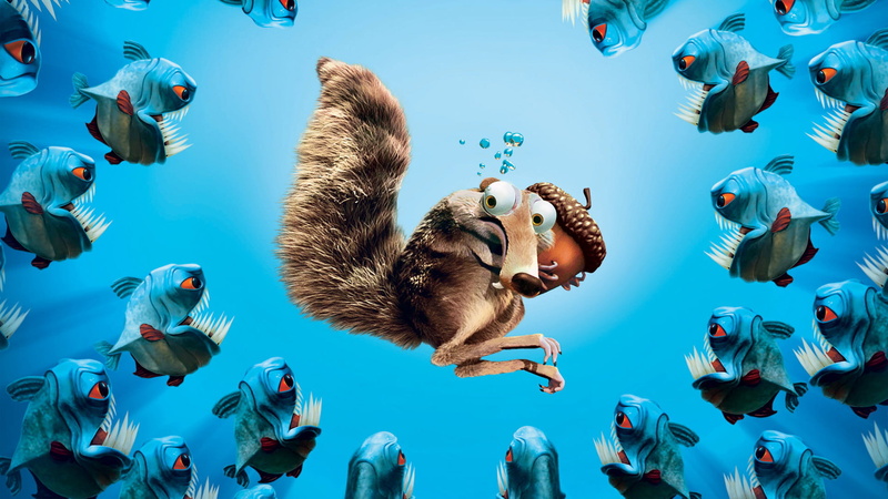 vertebrate, sky, fun, fish, piranhas, swimming, school of Fish, walnut, multi Colored, animal, large Group Of Animals, no people, reef, animal wildlife