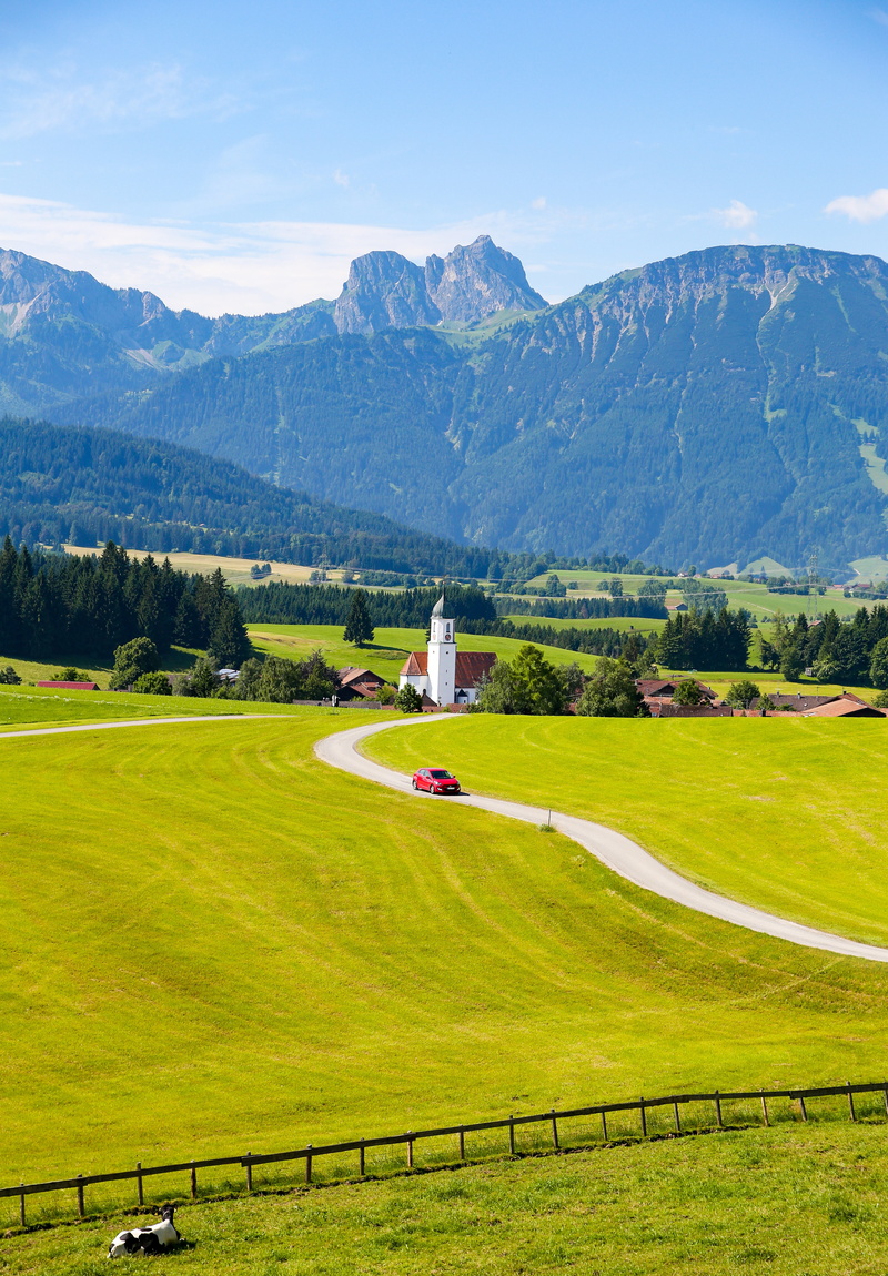 tranquility, tree, bavaria, forest, mountains, vertical, idyll, trail, land, steeple, built structure, architecture, summer, sky, nature, field, away, meadow