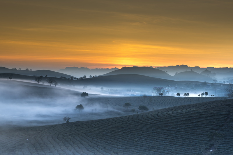 4K, Morning, Farm, Countryside, 8K, Sunrise, 5K, Landscape, Scenery