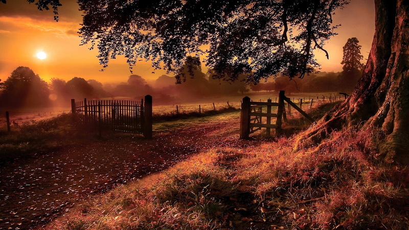 sunset, landscape, countryside, 1080P, fence, tree, evening, farm
