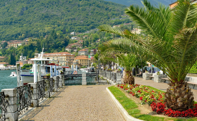 menaggio, green color, mountain, growth, outdoors, day, 4K, tree, promenade, bank, beauty in nature, lake como, sea, plant, built structure, vacations