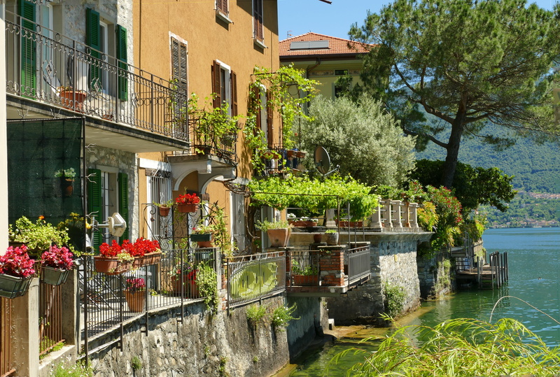 built structure, potted plant, lakeside, outdoors, 5K, growth, residential district, flower pot, day, water, plant, flower, city, tree, canal, architecture