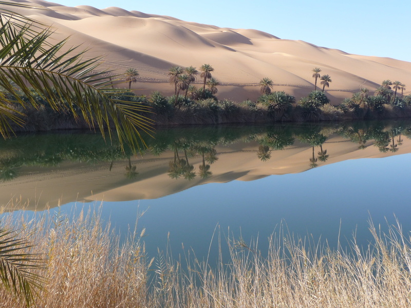 beautiful, green color, no people, sahara, outdoors, non-urban scene, mirroring, tree, sky, desert, growth, mountain, tranquility, dessert, idyllic, landscape