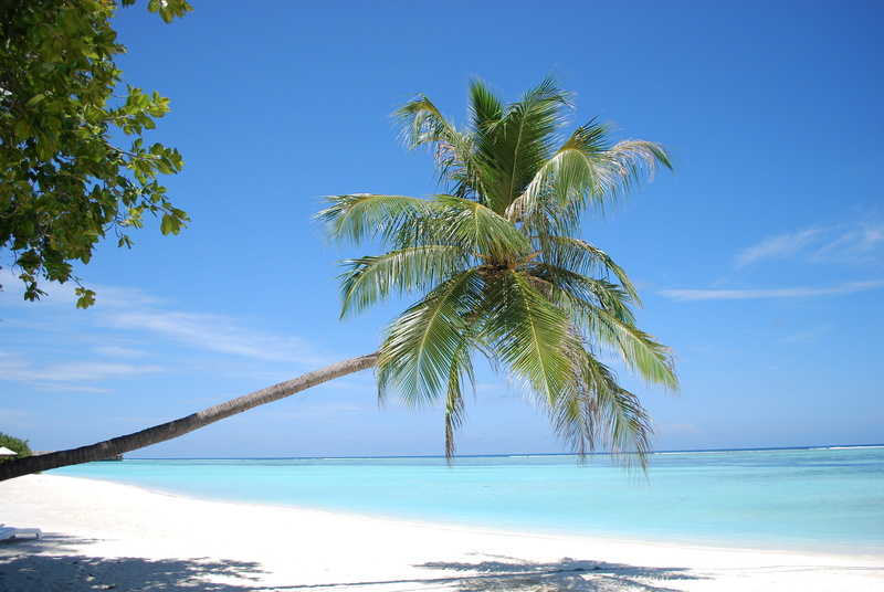 sea, 4K, blue, land, horizon over water, beauty in nature, horizon, holiday, tranquil scene, scenics - nature, tropical, beach, tropical climate, maldives