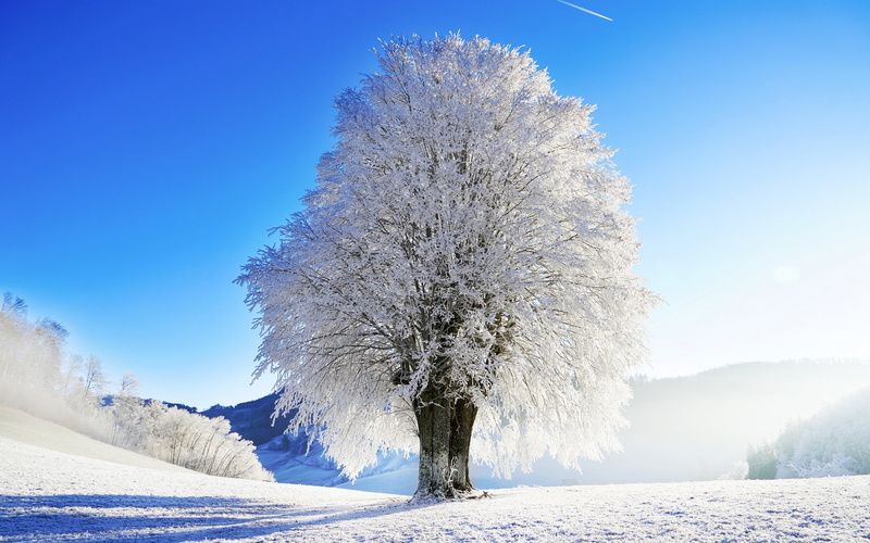 tranquil scene, hd, environment, 2K, day, clear sky, frozen, no people, tree, snow, plant, outdoors, sky, land, nature, snowcapped mountain
