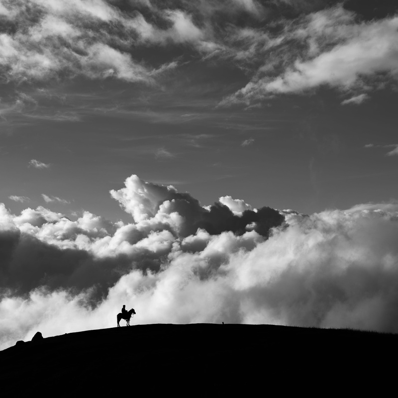 leisure activity, day, cloud - sky, horse, non-urban scene, hors, horse riding, men, people, cloudy, unrecognizable person, real people, sky, silhouette