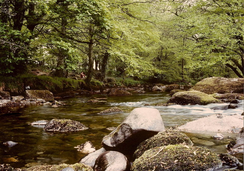 llanystumdwy, river, 3d and abstract, waterfalls, north wales, dwyfawr, 1080P, illustration
