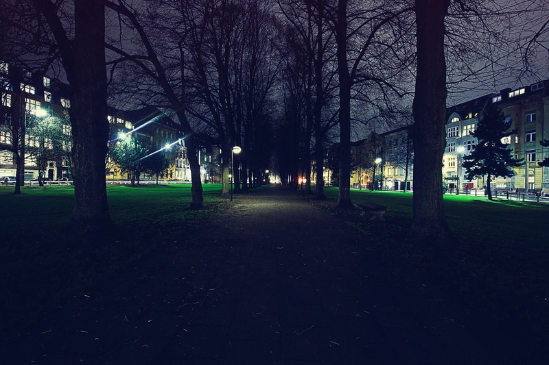 plant, night, urban, cityscape, park, treelined, footpath, street, land, growth, outdoors, nature, park - man made space, illuminated, city, bare, trees