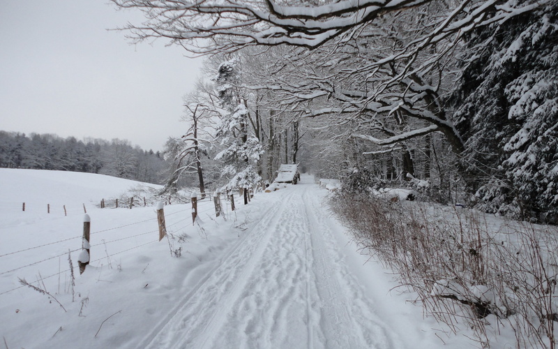 the way forward, bare tree, plant, scenics - nature, covering, 2K, beauty in nature, snowcapped mountain, direction, white color, bare, winter, path, non-urban scene