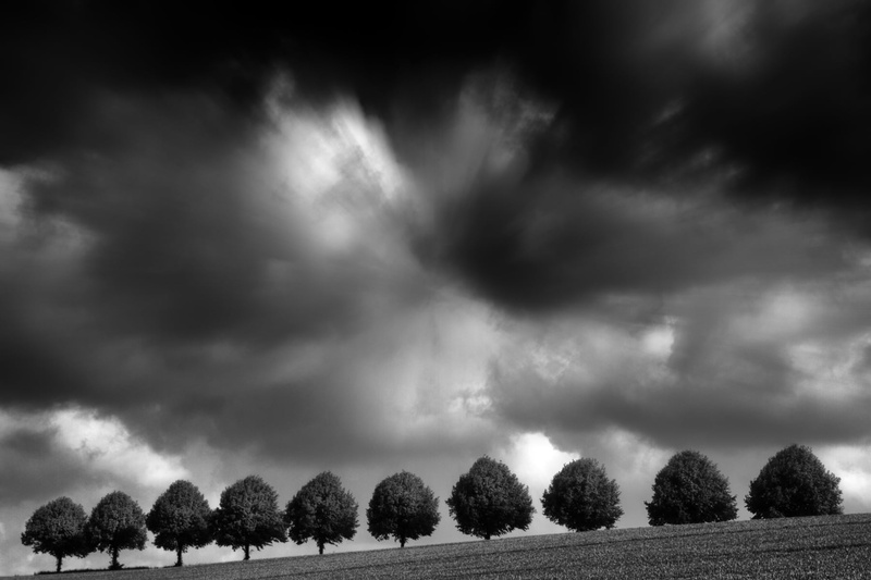 720P, natur, himmel, baum, germany, cloudy, black And White, dark, silence, sky, black, field, arts, wetter, lieblos, thunderstorm, stille, tree, disturbance