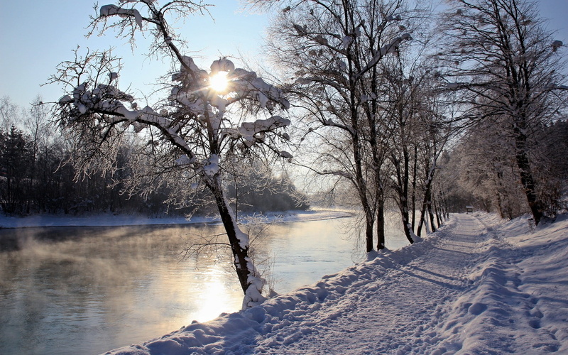 plant, nature, 1080P, trees, sky, tranquil scene, tree, bare tree, no people, bare, winter, lens flare, tranquility, frozen, scenics - nature, cold temperature