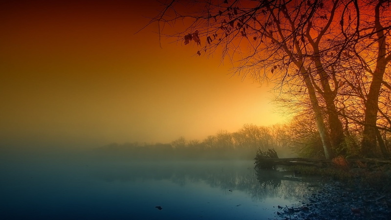 landscape, reflection, non-urban scene, nature, fog, plant, sun, bare, sunset, trees, idyllic, tranquility, scenics - nature, beauty in nature, tree, hazy
