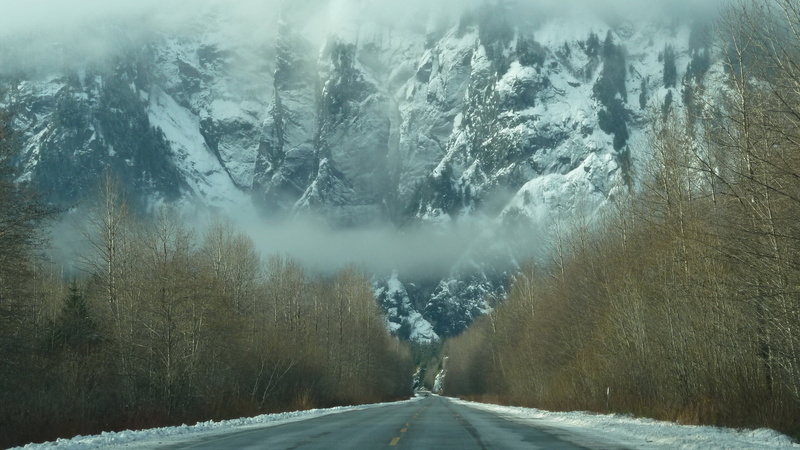 transportation, land, winter, trees, mountains, nature, tree, tranquility, bare, black, no people, the way forward, blizzard, direction, beauty in nature