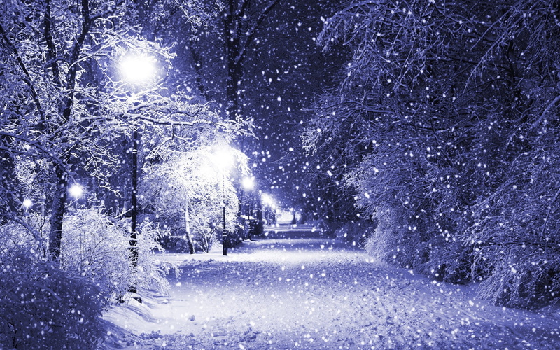 park, night, blizzard, outdoors, street light, covering, transportation, snow, no people, nature, plant, illuminated, 2K, scenics - nature, tree, light