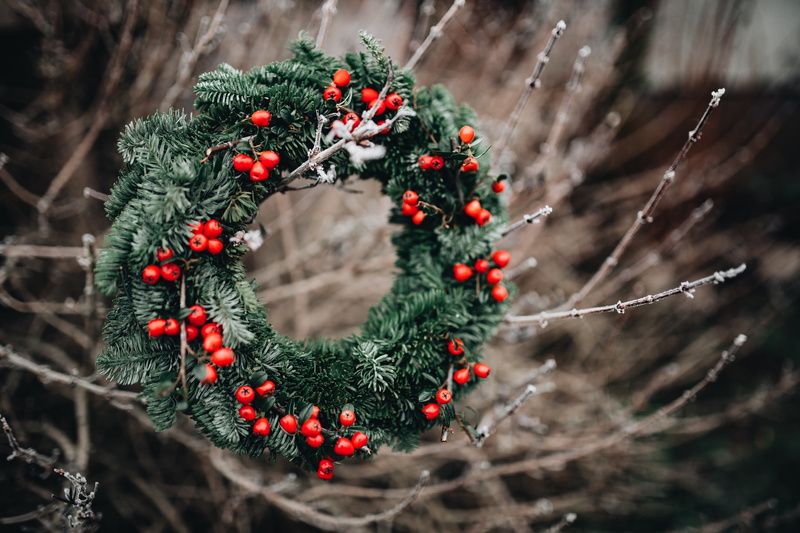 green color, wreath, plant, fir tree, nature, christmas, food and drink, advent, red, decoration, merry, christmas decoration, no people, beauty in nature