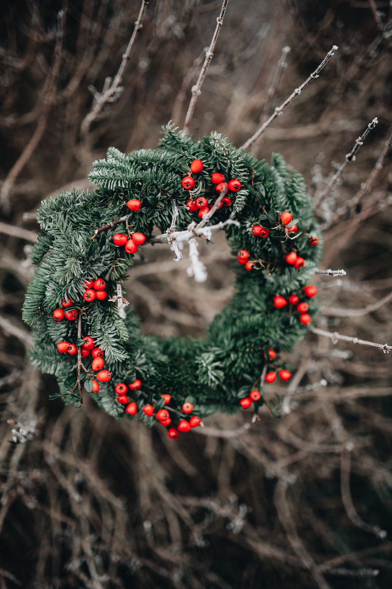 evergen, christmas decoration, plant, advent, holly, fresh, winter, christmas, 5K, christmas tree, christmas ornament, holiday - event, tree, day, close-up