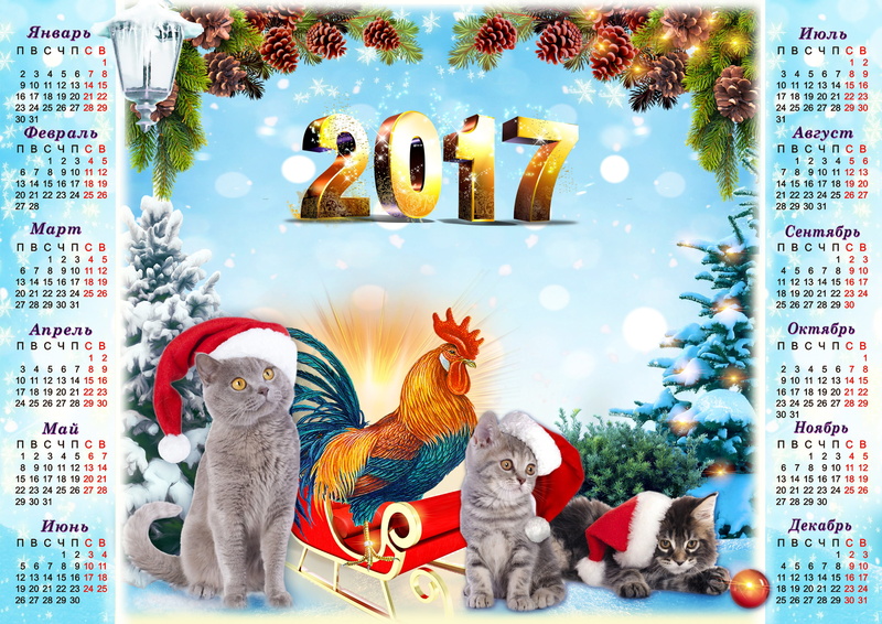 plant, grey, event, week, symbol, new Year, year, ate, gold plated, children, humor, season, picture, text, calendar, snow, representation, cock, no people
