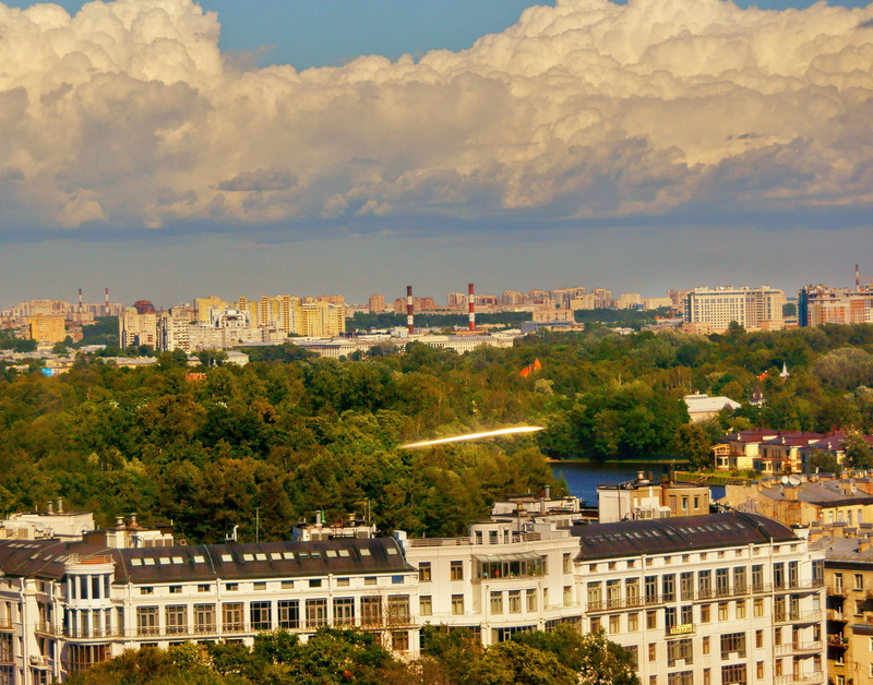 tree, building, history, nature, plant, sky, building exterior, no people, the past, city, roof, skyscraper, apartment, trees, summer, clouds, glass, blue