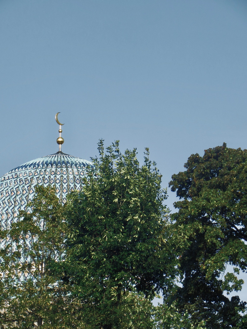 railing, saint petersburg mosque, fir, st petersburg, tower, steeple, sky, roof, clear sky, sunlight, growth, arbour, low angle view, 4K, plant, blue