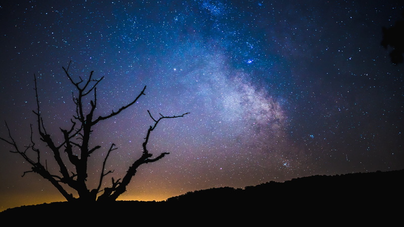 idyllic, silhouette, Milky Way, low angle view, galaxy, outdoors, astronomy, star - space, trees, clear sky, no people, space, stars, nature, star field