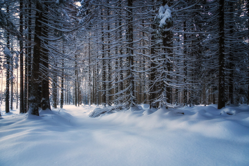 clouds, Sachsen-Anhalt, frost, cold, scenics, kalt, eis, white, Harz, schnee, licht, snow, landscape, himmel, Wälder, Wolken, Wald, photo, 6D, snowy, blue