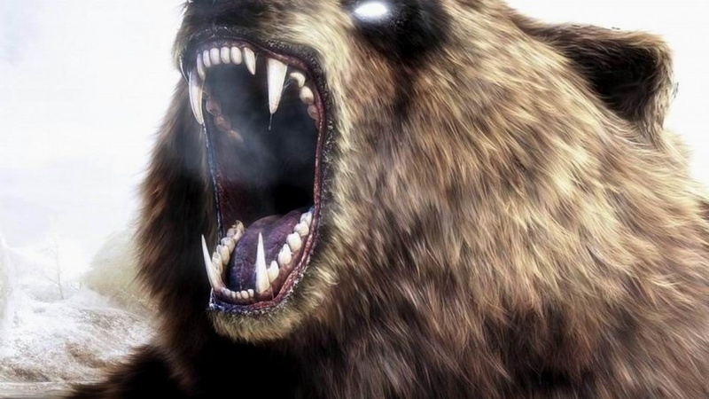 hair, animals in the wild, mammal, 720P, vertebrate, facial expression, snarling, animal, aggression, artwork, mouth, animal themes, animal teeth, roaring