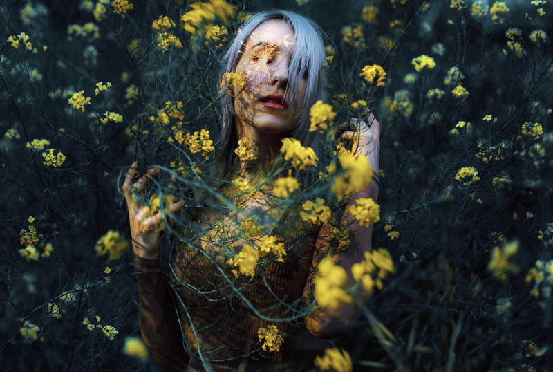 model, beautiful woman, 1080P, portrait, flower, plant, growth, beauty, front view, adult, young women, flowering plant, fantasy girl, Kindra Nikole, women