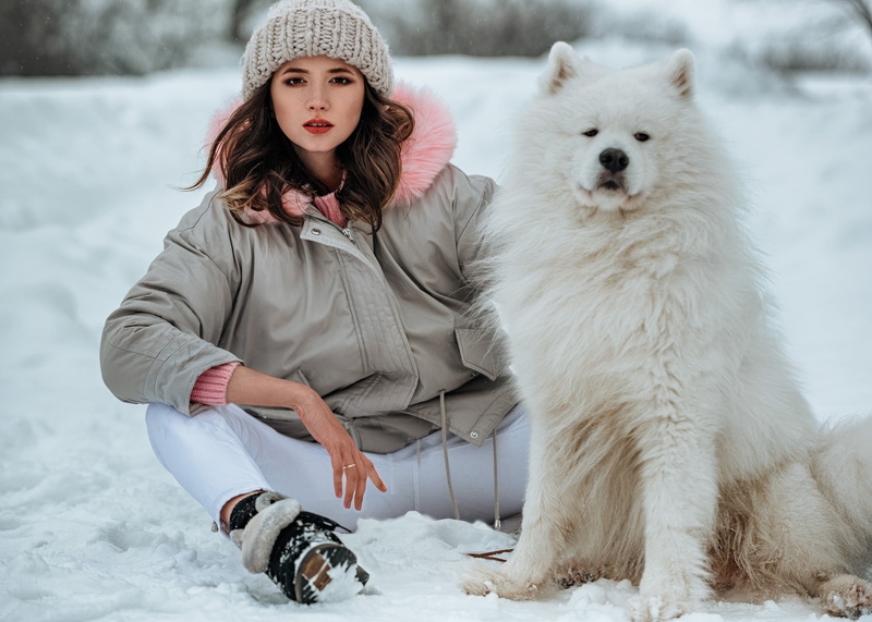 looking at viewer, sweater, pet, brunette, jeans, portrait, shoes, outdoors, pink sweater, snow, women outdoors, 1080P, dog, sitting, jacket, model, women