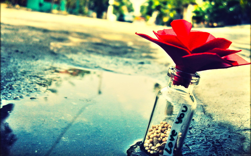 jar, water, 2K, love, street, saying, glass, vintage, clear, rose, mason