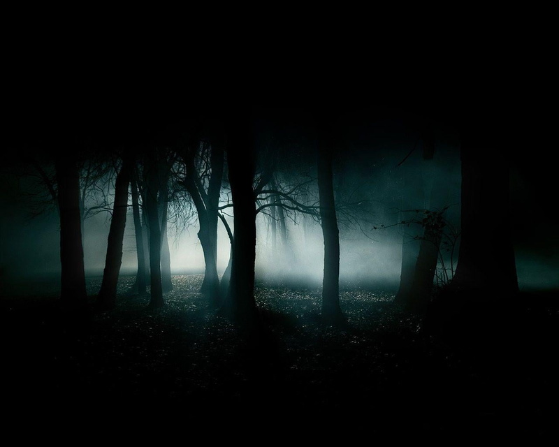 silhouette, trunk, spooky, woodland, scenics - nature, beauty in nature, environment, 720P, no people, tree trunk, fear, mystery, fog, tree