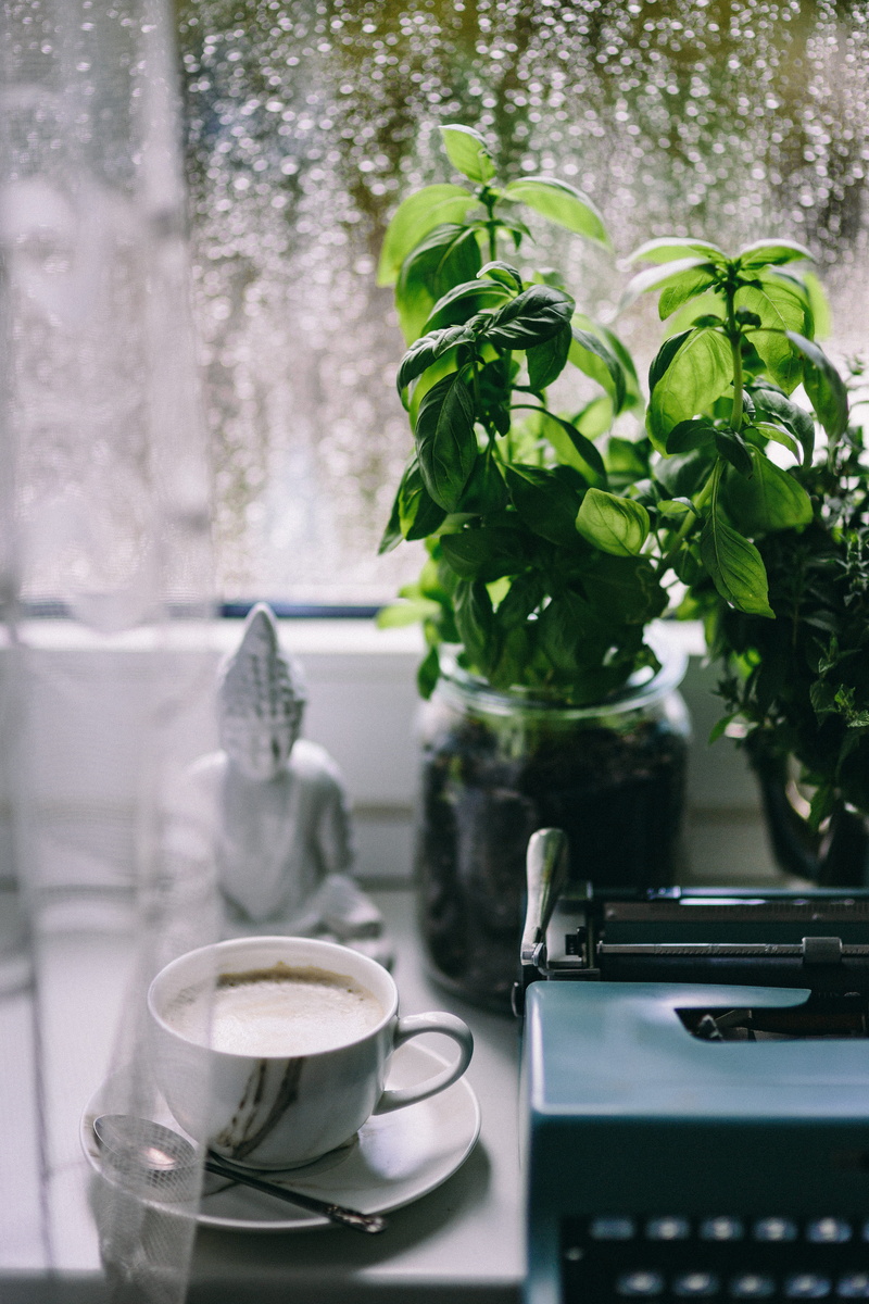 freshness, no People, leaf, coffee cup, rain, still life, food and drink, 5K, workspace, cup, typewriter, indoors, old, mug, working, rainy day, coffee - Drink
